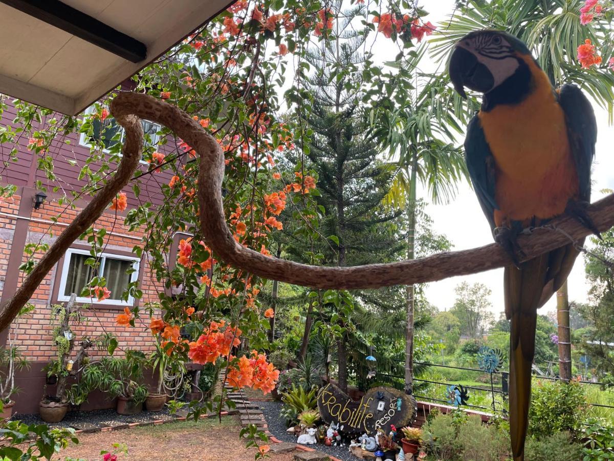 Krabilife Resort Ban Ko Kwang Esterno foto