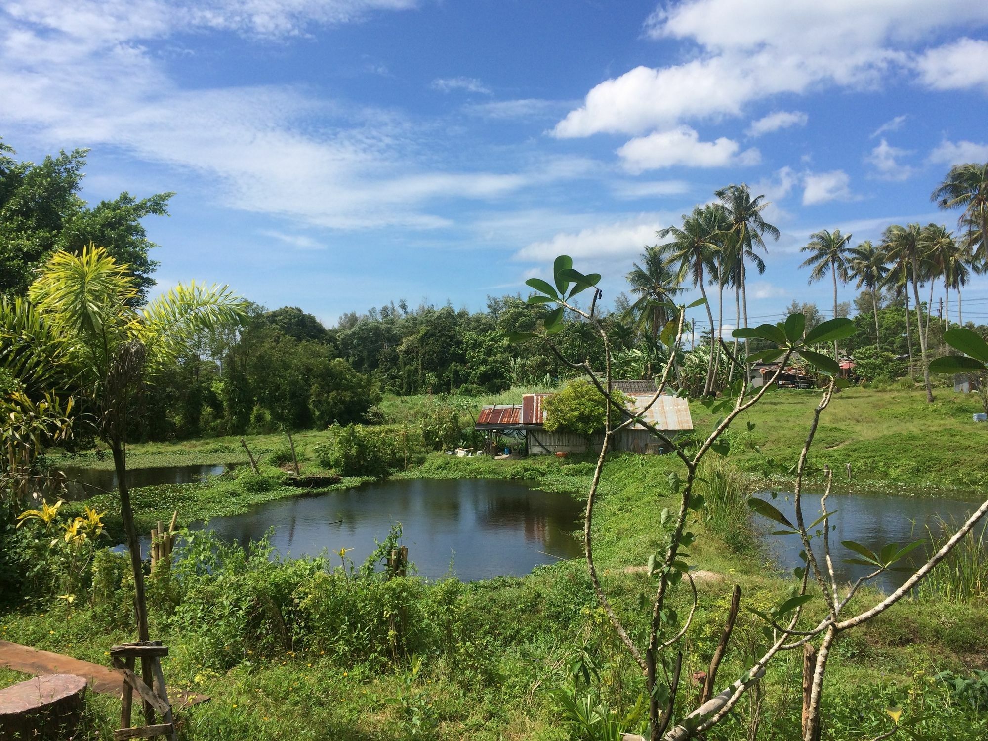 Krabilife Resort Ban Ko Kwang Esterno foto